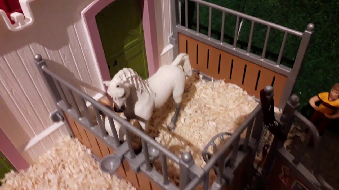 Die Geburt vonn Flipper  Teil 1. Ich drehe zusammen mit meiner Freundin. Schleich. Luna for you