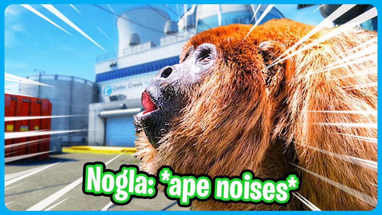 моменты Counter-Strike Ape