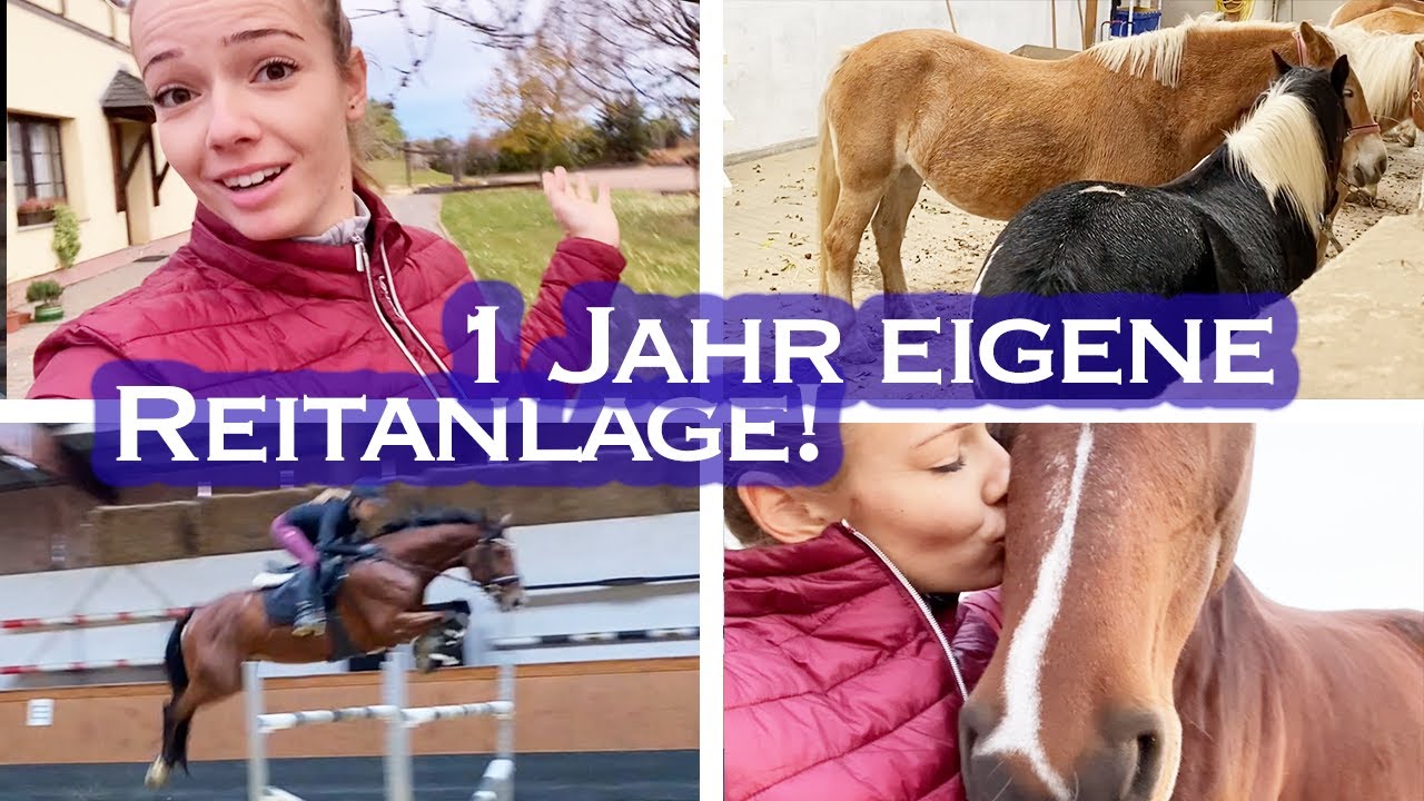 🤩 1 JAHR BUCHENHOF BALLENSTEDT! | ☹️ Püppi verletzt? | Weekly Vlog #81