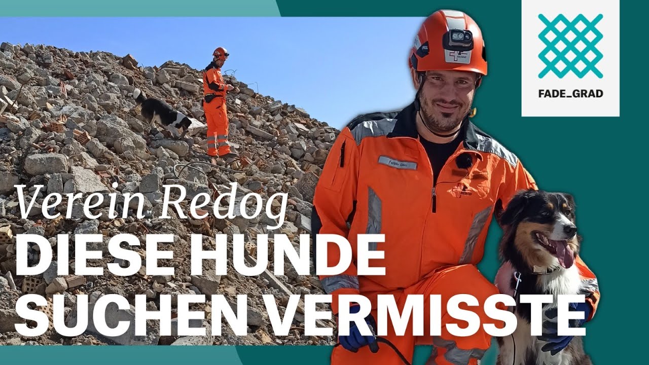 Redog: Diese Hunde suchen Vermisste nach einem Erdbeben