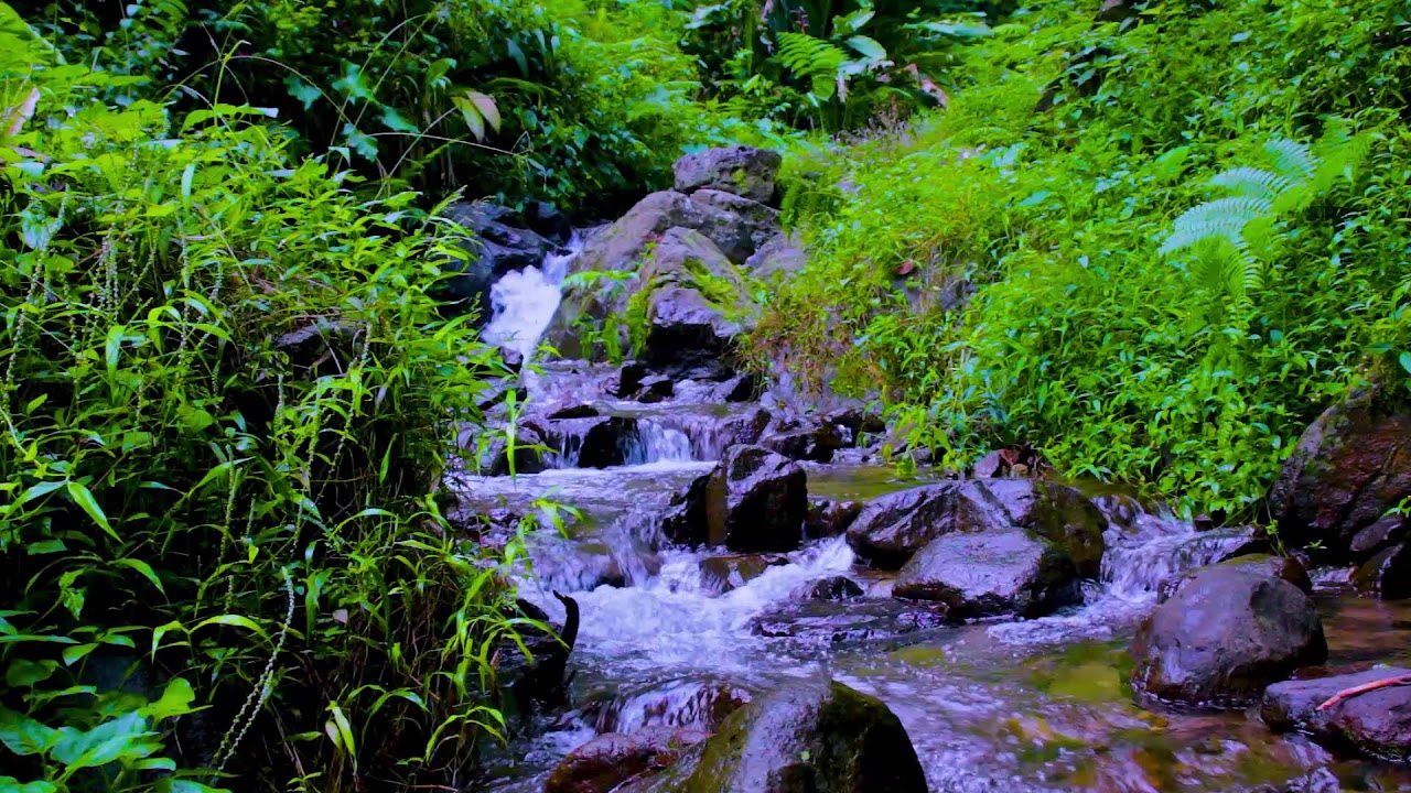 Mountain River Dreamy Serenity | Relaxing Water Sounds for Better Sleep Tonight