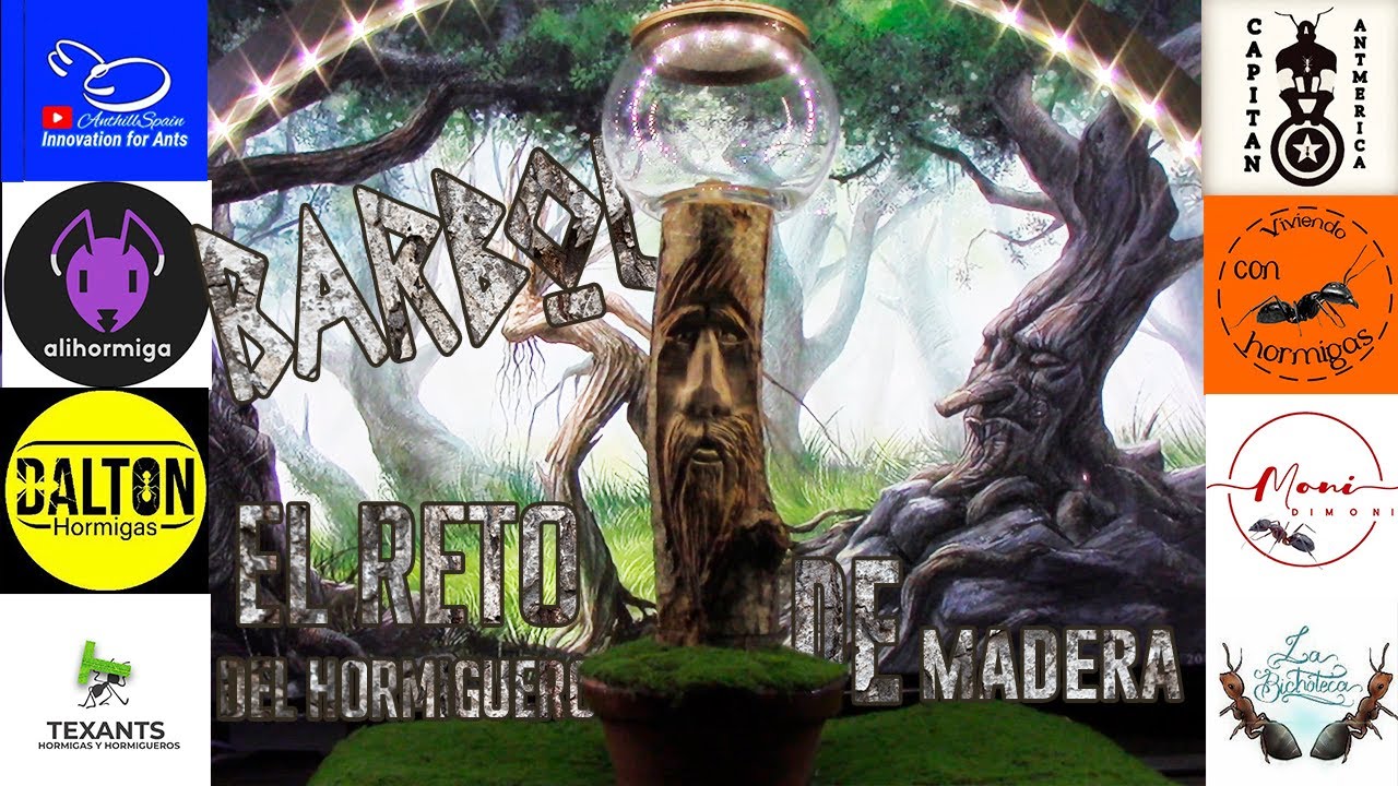 ANTenas || Bárbol y el reto del hormiguero de madera