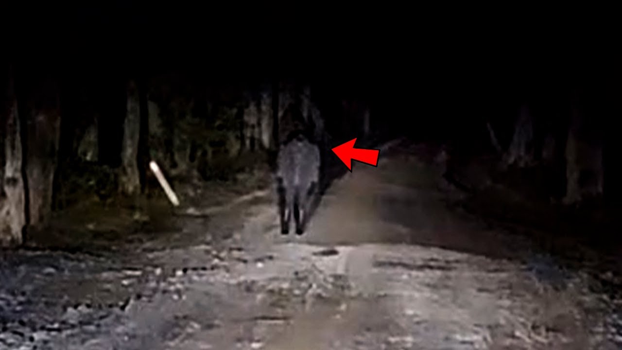 11 страшных видео, от которых вы не сможете оправиться
