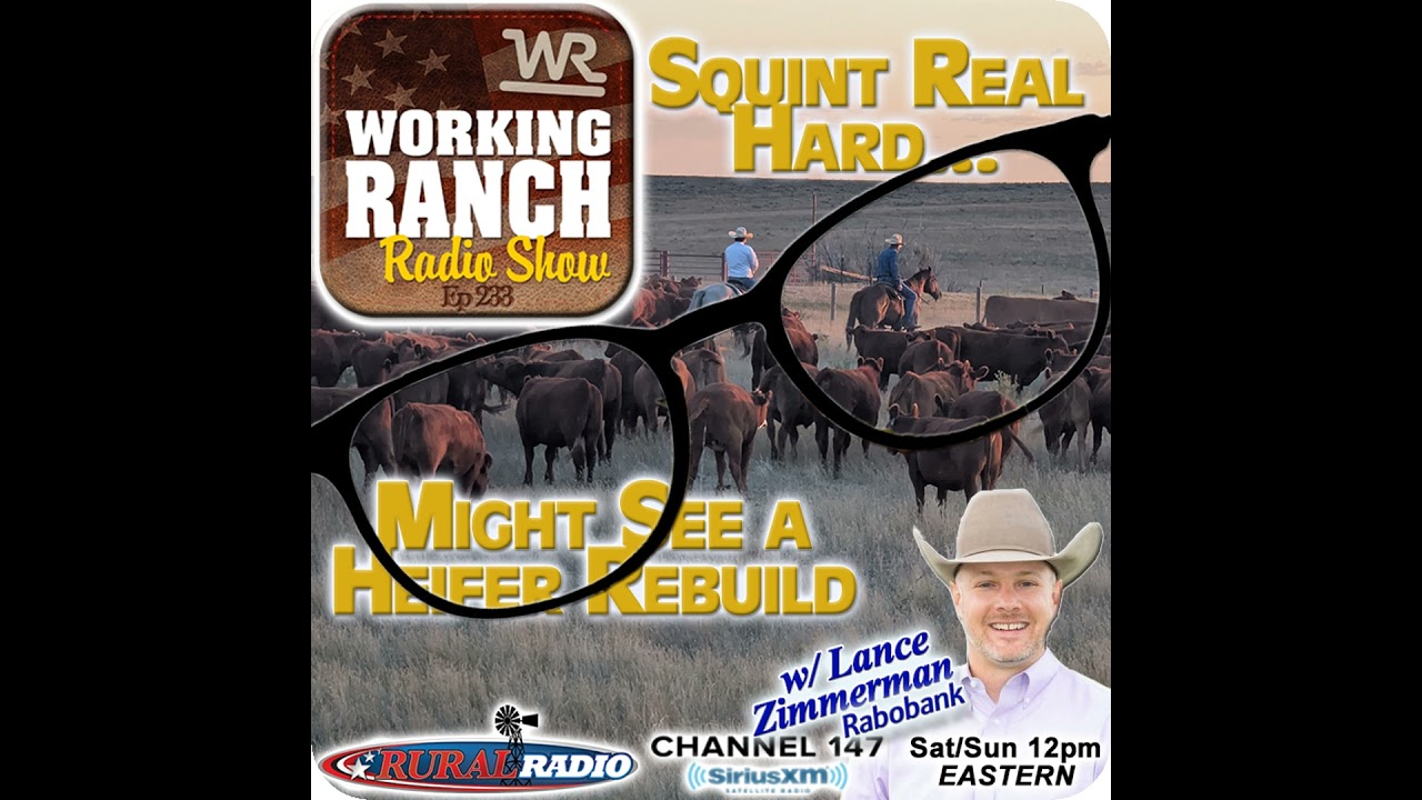 Ep 233: Squint Real Hard… and You Might See a Rebuild w Lance Zimmerman