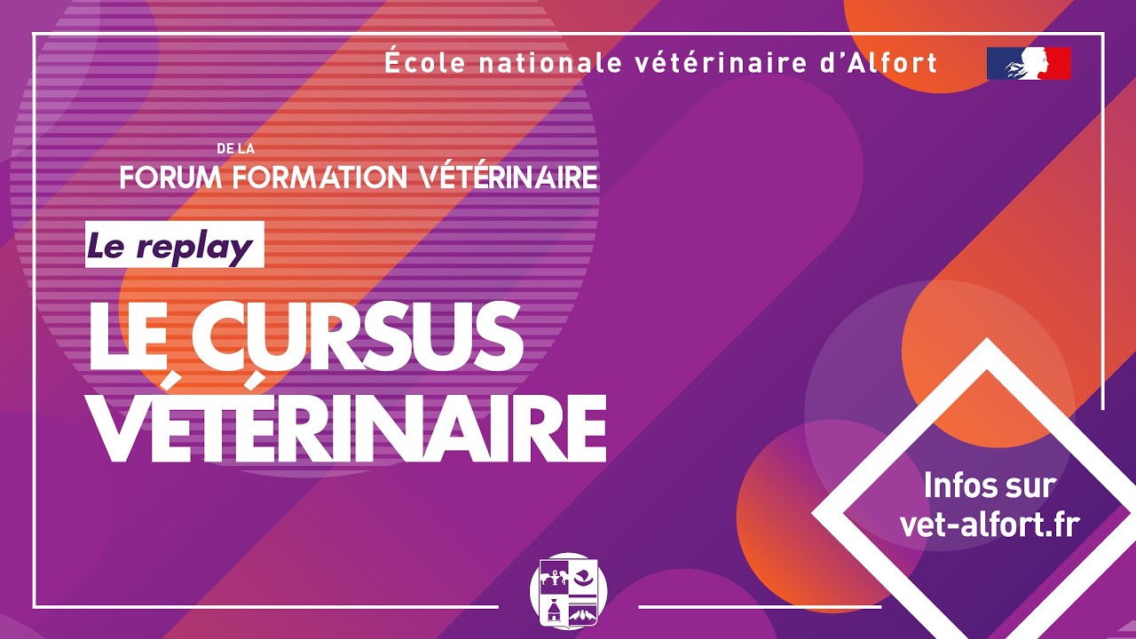 Conférence FFVET23  Le cursus vétérinaire - 2ème édition