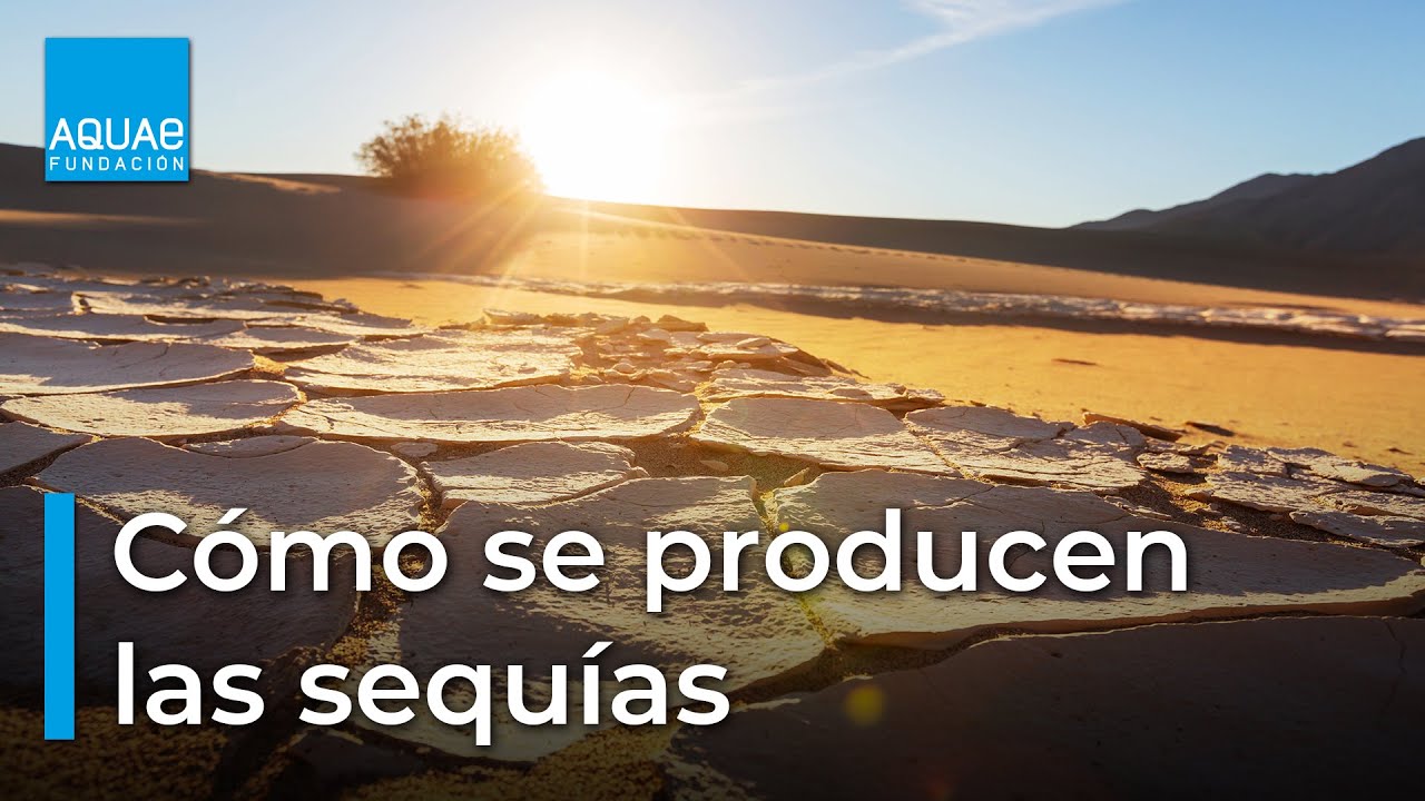 ¿Conoces las CAUSAS y CONSECUENCIAS de las sequías?