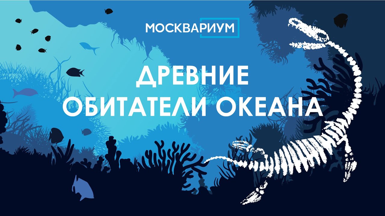 Древние обитатели океана