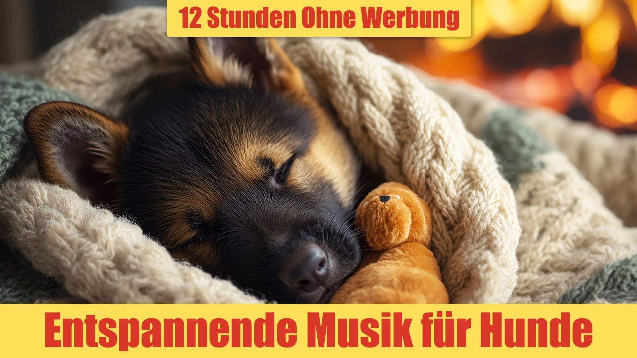 Hunde Entspannungsmusik - 12 Stunden Ohne Werbung | Musik für ruhigen Schlaf_vol.13