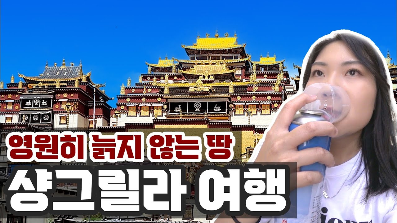 [🇨🇳 샹그릴라] #24. [잃어버린 지평선] 속 영원히 늙지 않는 땅, 샹그릴라 여행