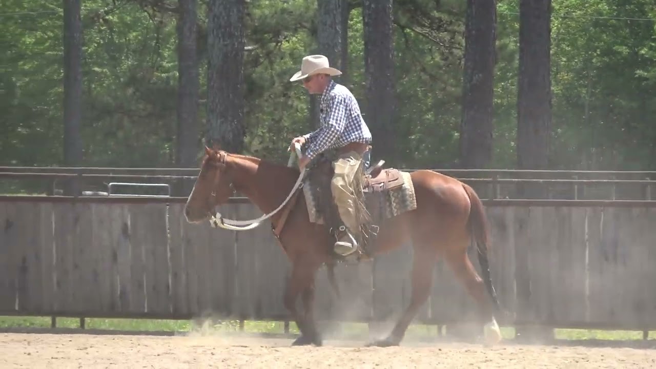 ES20 Snaffle Bit Basics with Luna Day 15