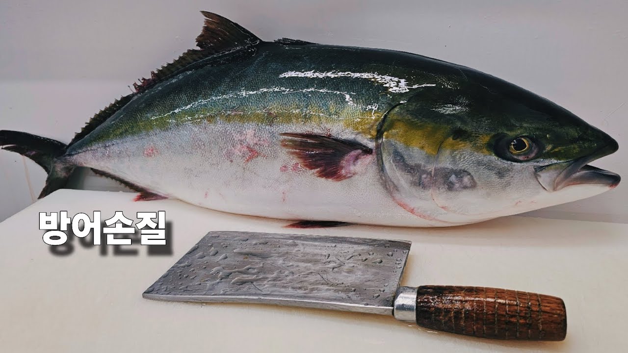 오늘의  핫한 대방어 회 한접시/ 메리크리스마스 #생선손질 