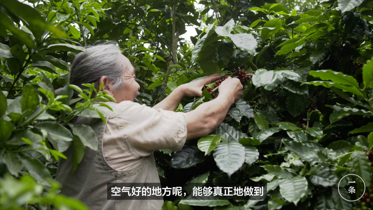 民宿 ｜ 以合金寨： 一家七口，住4萬平米……