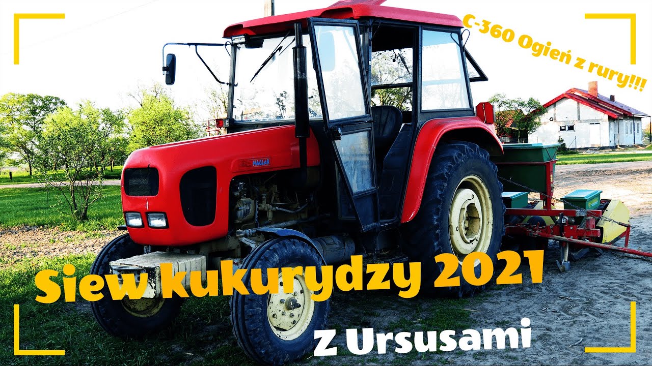 🌽 Siew Kukurydzy 2021 | Ursus C-360 1604 | Unia | Meprozet