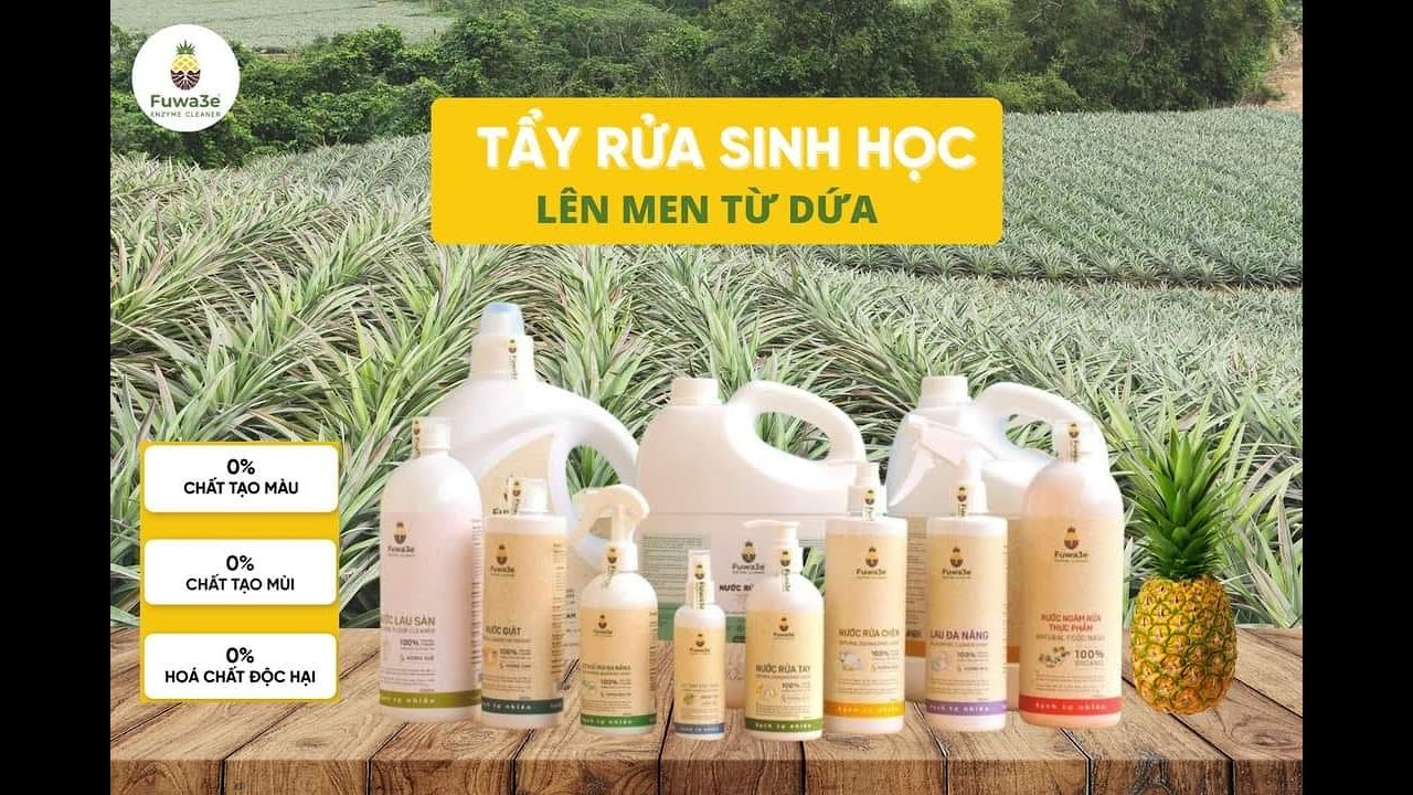 Vỏ Dứa Có Thể Thay Thế Xà Phòng Không- TM  #fuwa3e #enzyme #nature #enzymecleaners #fuwabiotech