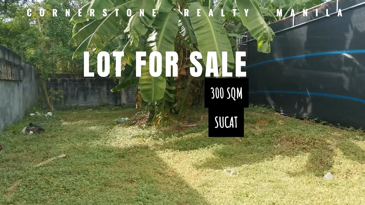 Posadas Village Sucat Muntinlupa - 300 sqm  Residential Lot FOR SALE #muntinlupacity