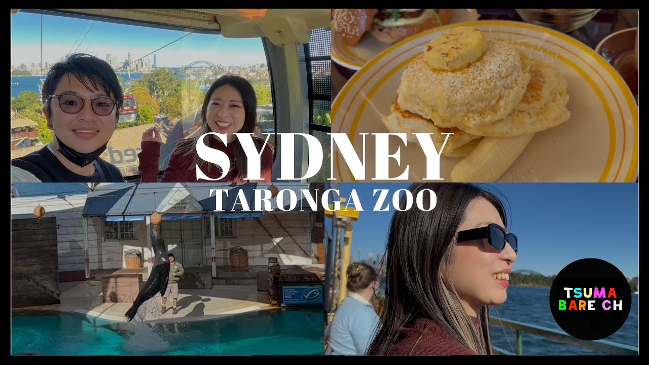 【観光】日本からシドニーに来たら必ず行きたい！タロンガ動物園が楽しすぎた！　＃シドニー　#観光　#ワーホリ　#オーストラリア