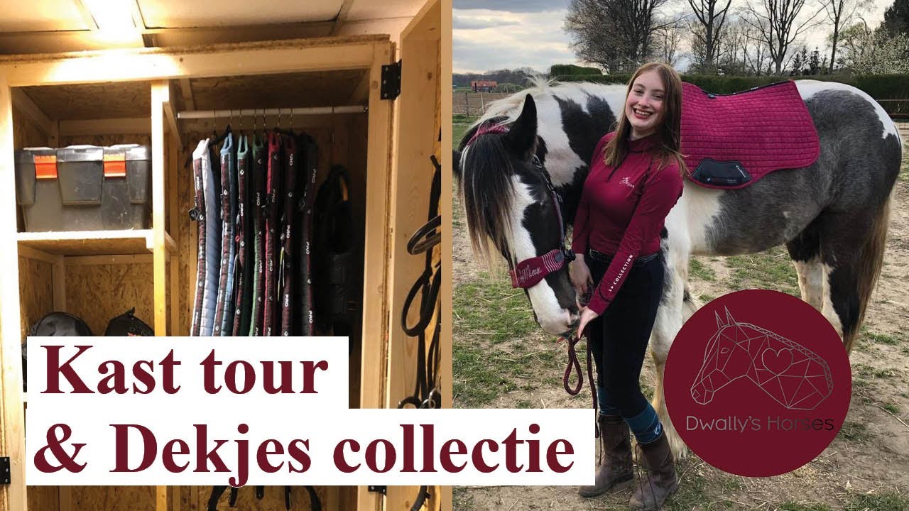 ZADELKAST tour en LEMIEUX DEKJES collectie 2022 | Dwally's Horses