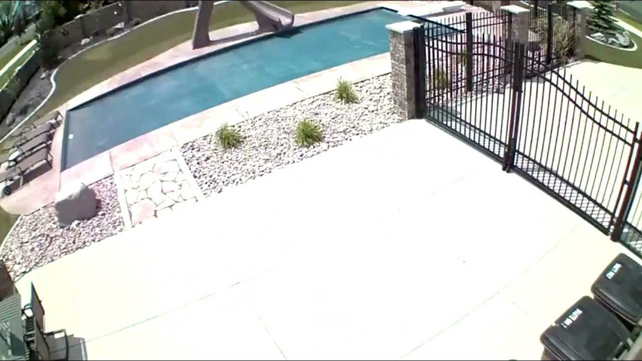 bee attacks camera but with hive knight noises and music