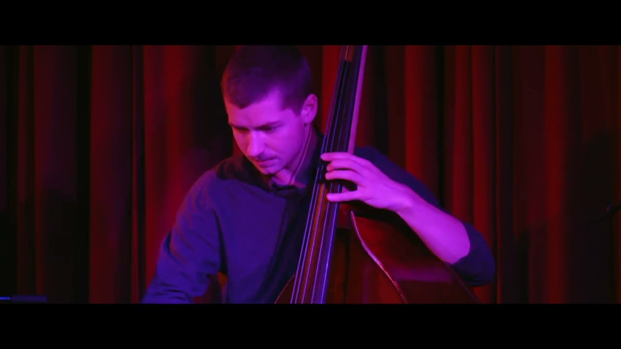 Niklas Roever Trio - Everybody's Song But Not My Own