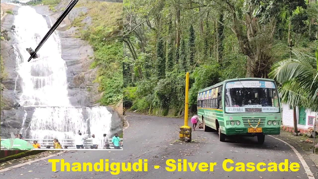 Unique TNSTC - Coffee Plantations - Kodaikanal Forest Journey | Part 2