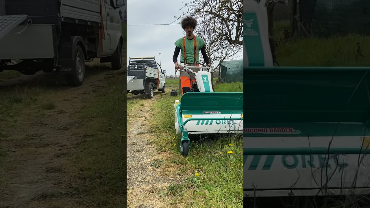 Giardiniere Alessandria Trincia erba #orec #trincia