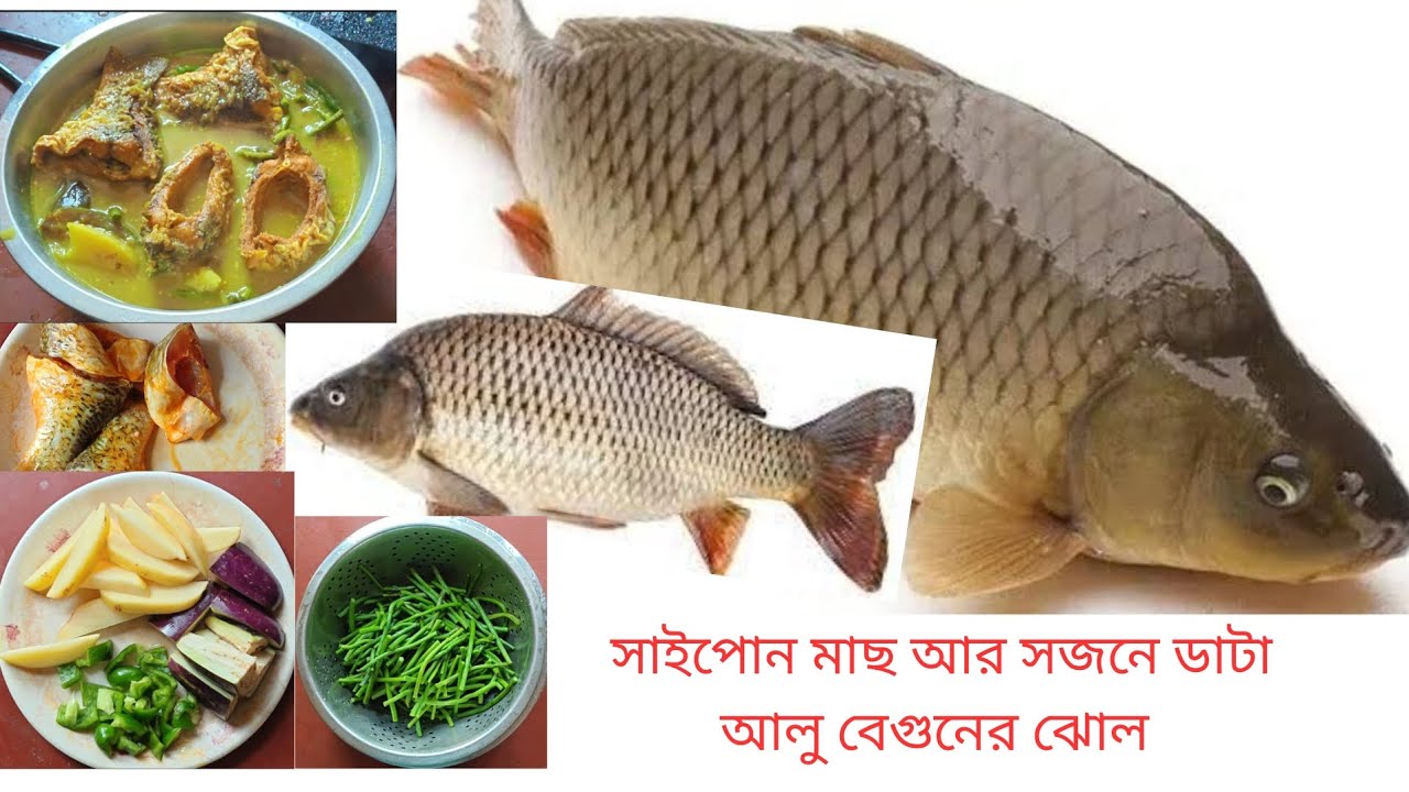 সাইপোন মাছ আর সজনে ডাটা আলু বেগুনের ঝোল l খুব সহজে বানান ঘরোয়া পদ্ধতিতে রান্না l