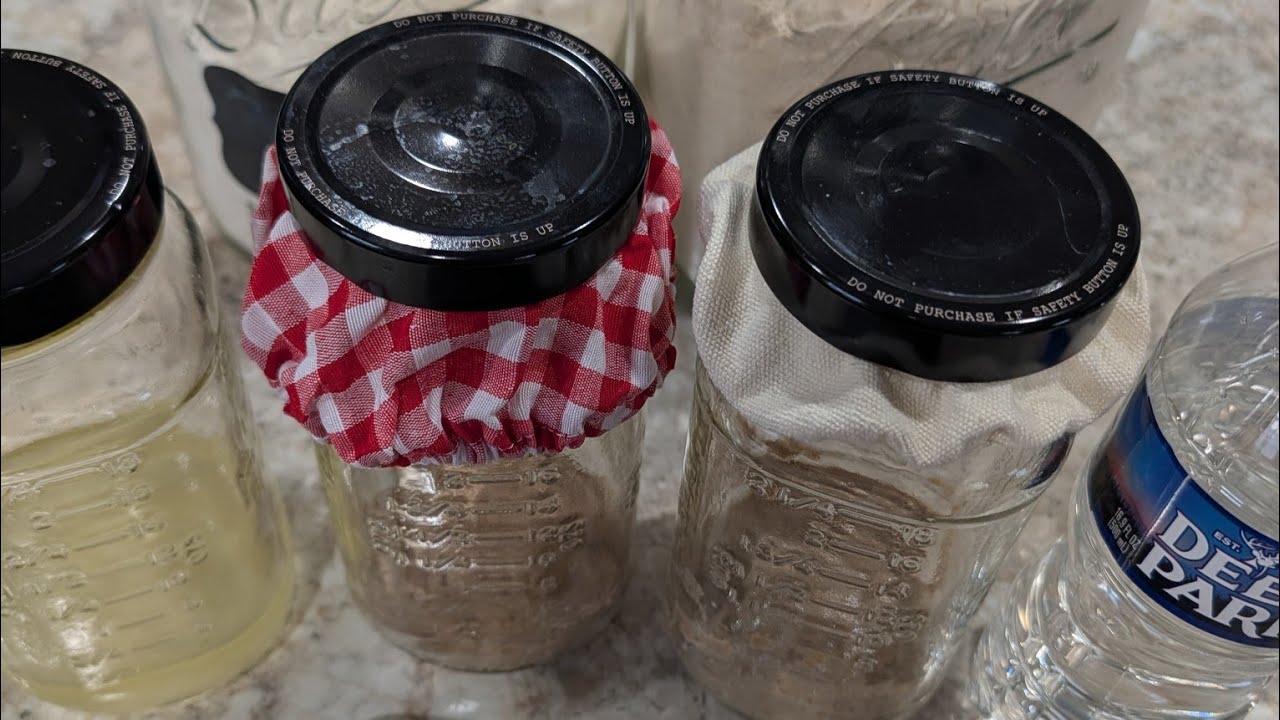 Sourdough Starter - Day 1