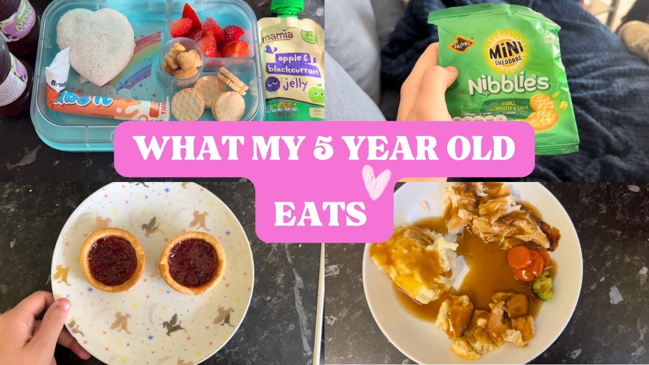WHAT MY 5 YEAR OLD EATS IN A DAY SCHOOL EDITION 2023|MEALS AND SNACKS|Talia Elizabeth