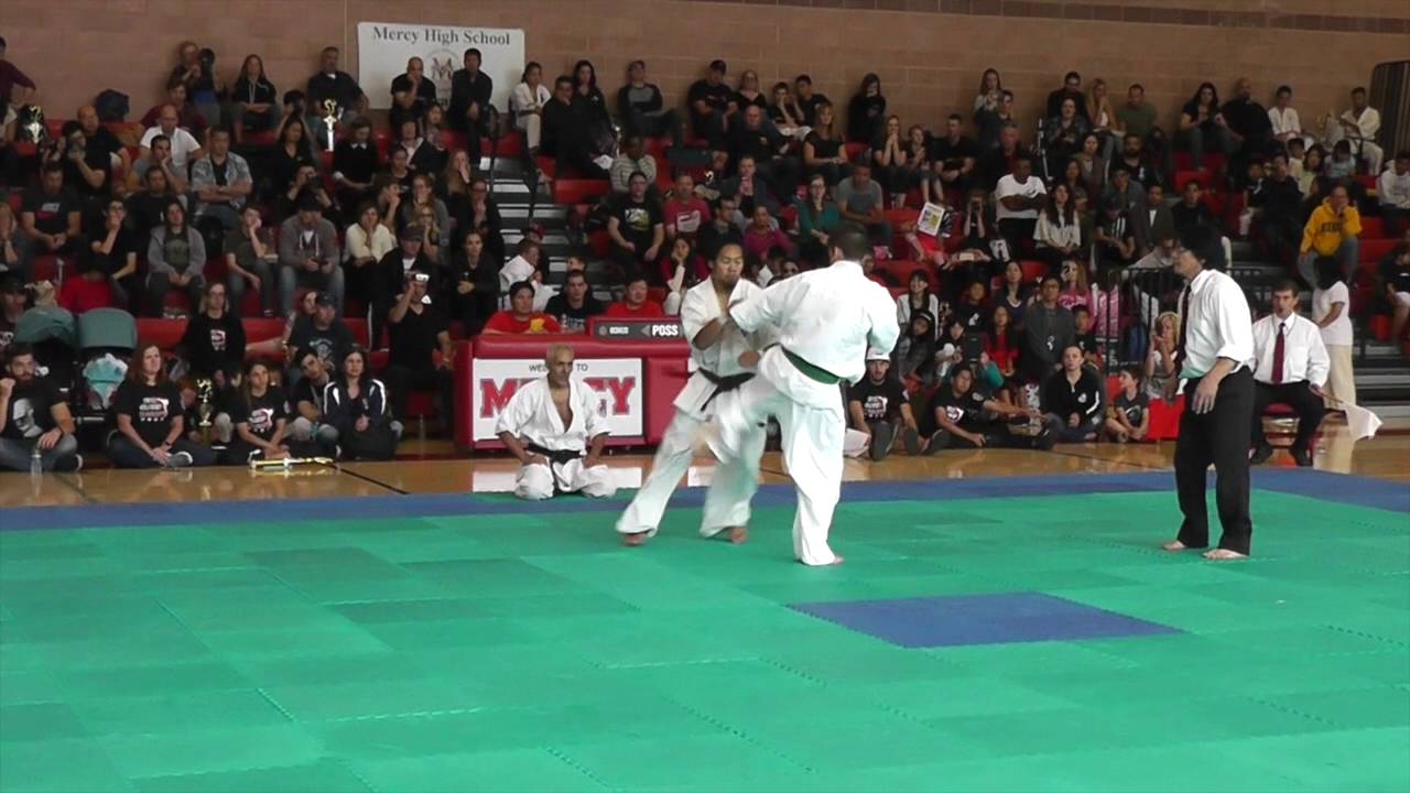 World Oyama Karate Fighters Cup 2016 Richie's Fight