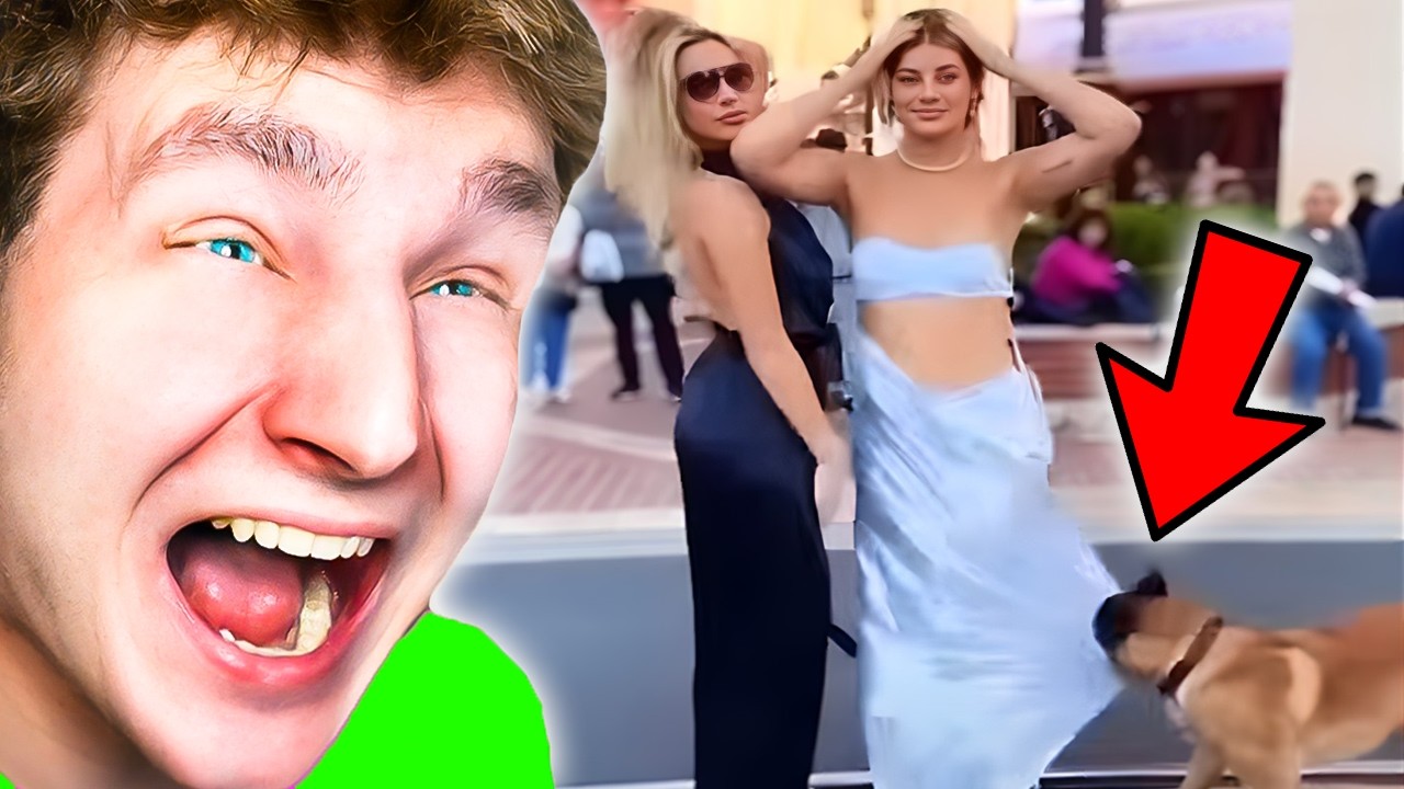 Ha Nevetek GEMET VESZEK Nektek Újra!😂