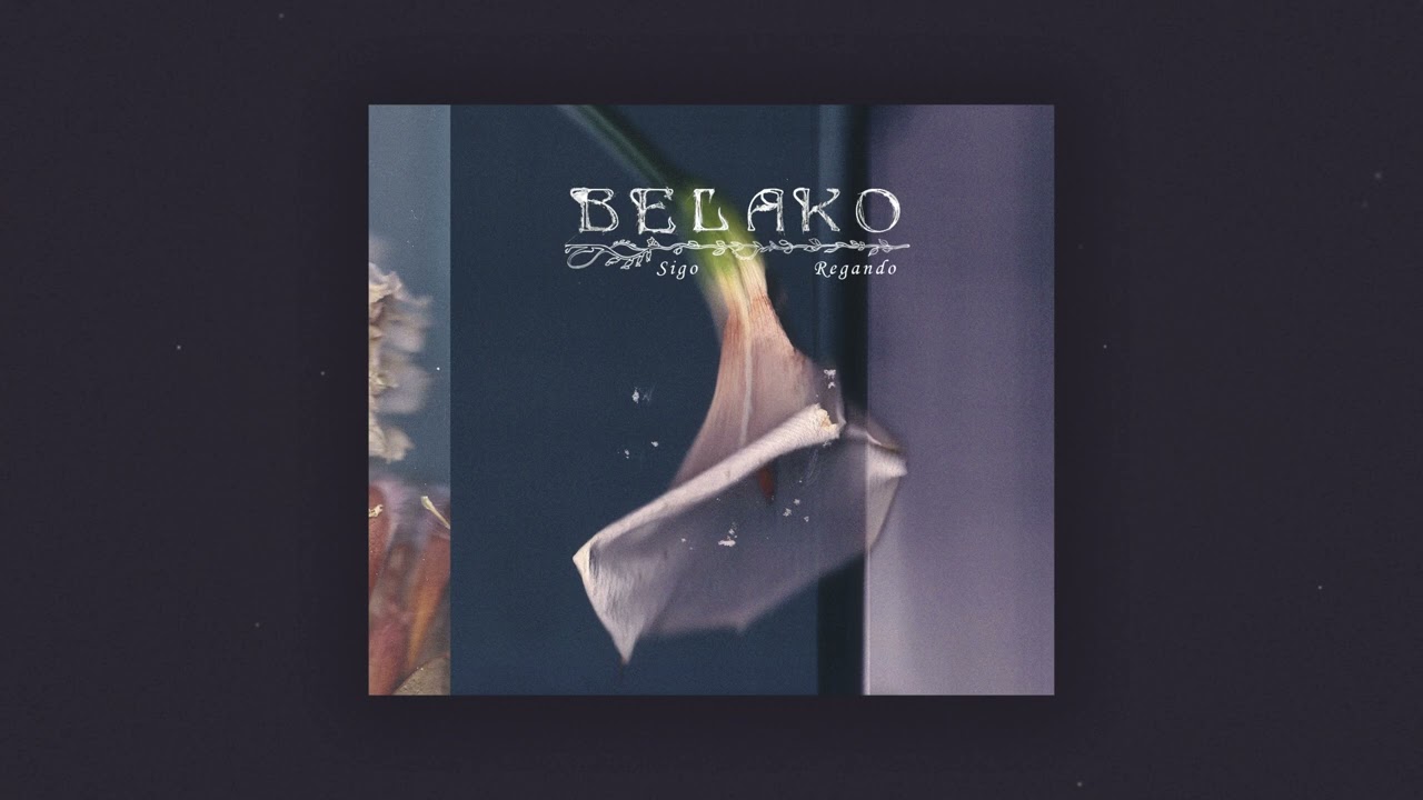 Belako - Tangerine (Official Audio)