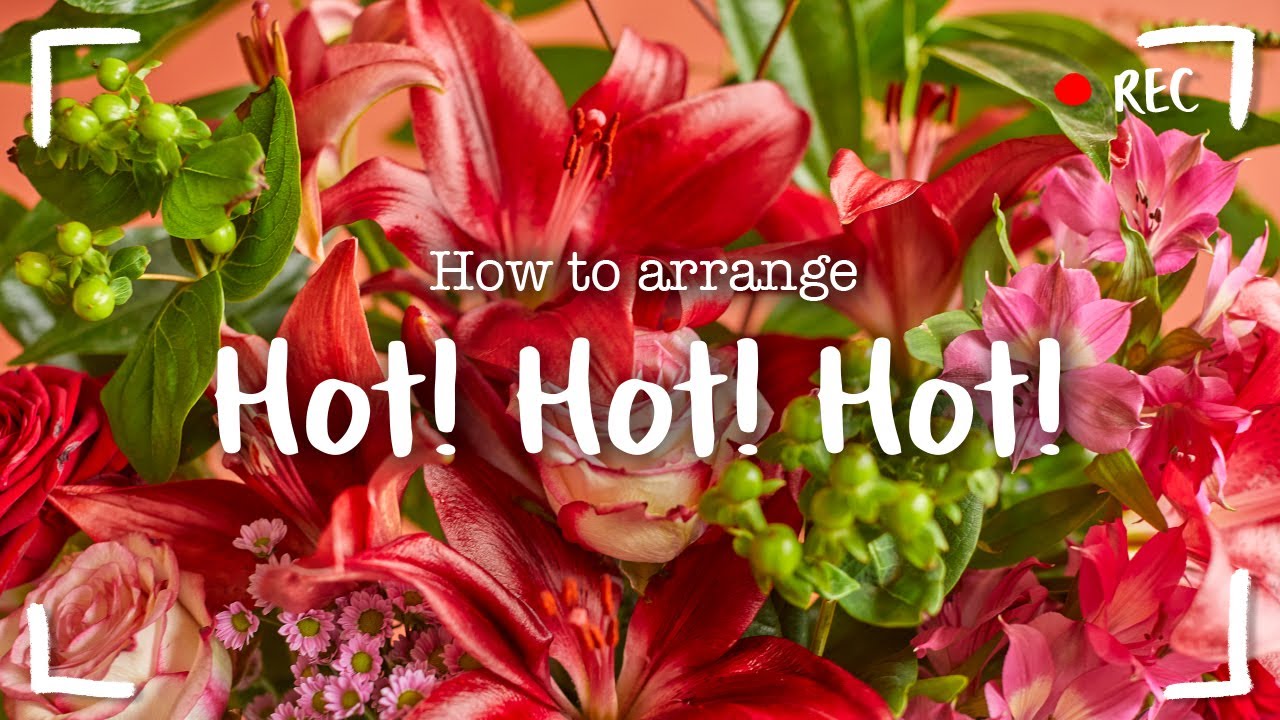 How to arrange 