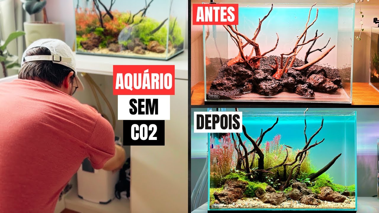MANUTENÇÃO COMPLETA DO FILTRO CANISTER! Limpeza passo a passo e reposição do Biocarbon 💥