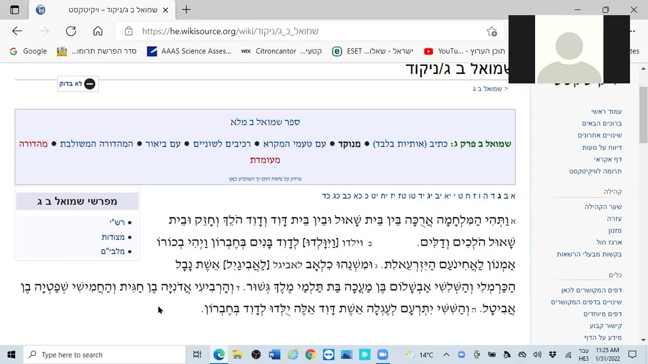 ר' חיים פלק - אמנון ותמר - שמואל ב' י