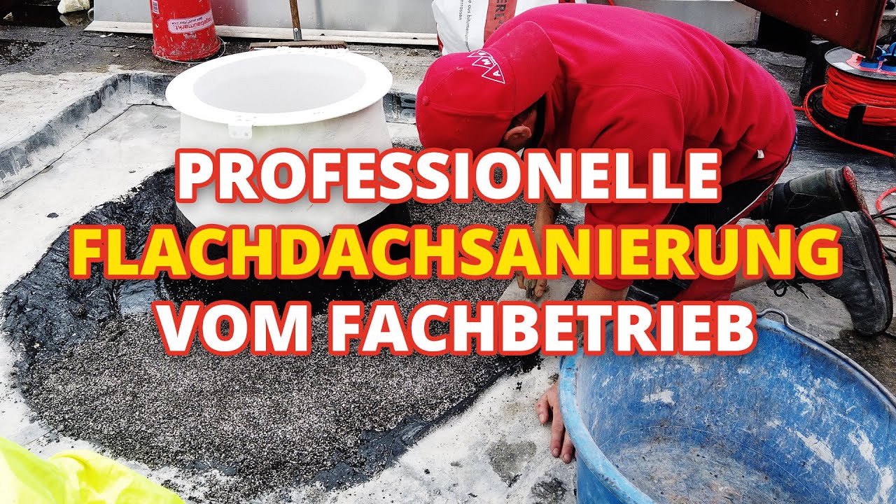 Professionelle Flachdachsanierung vom Fachbetrieb