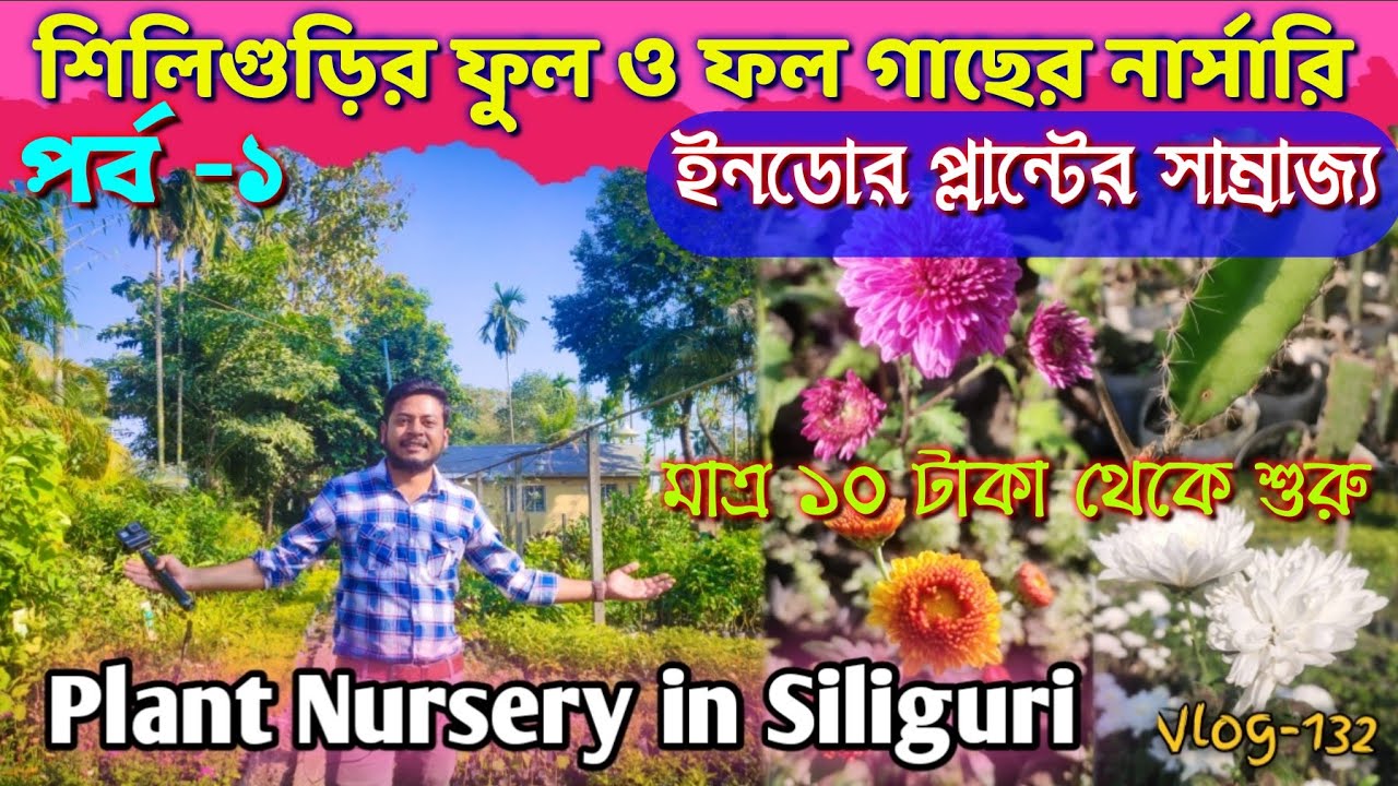 Plant Nursery in Siliguri | #siliguri #potheprante #plantnurseryvisit #flowers #fruit #indoorplants