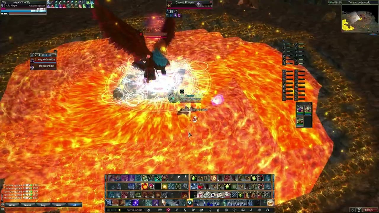 lvl 225 voidmage doing phoenix