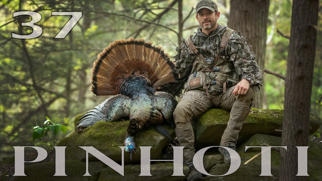 HUNTING in MOSSY OAK'S MR. FOX VEST | BIG WOODS FLYDOWN GOBBLER | KENTUCKY PUBLIC LAND- Pinhoti 2022