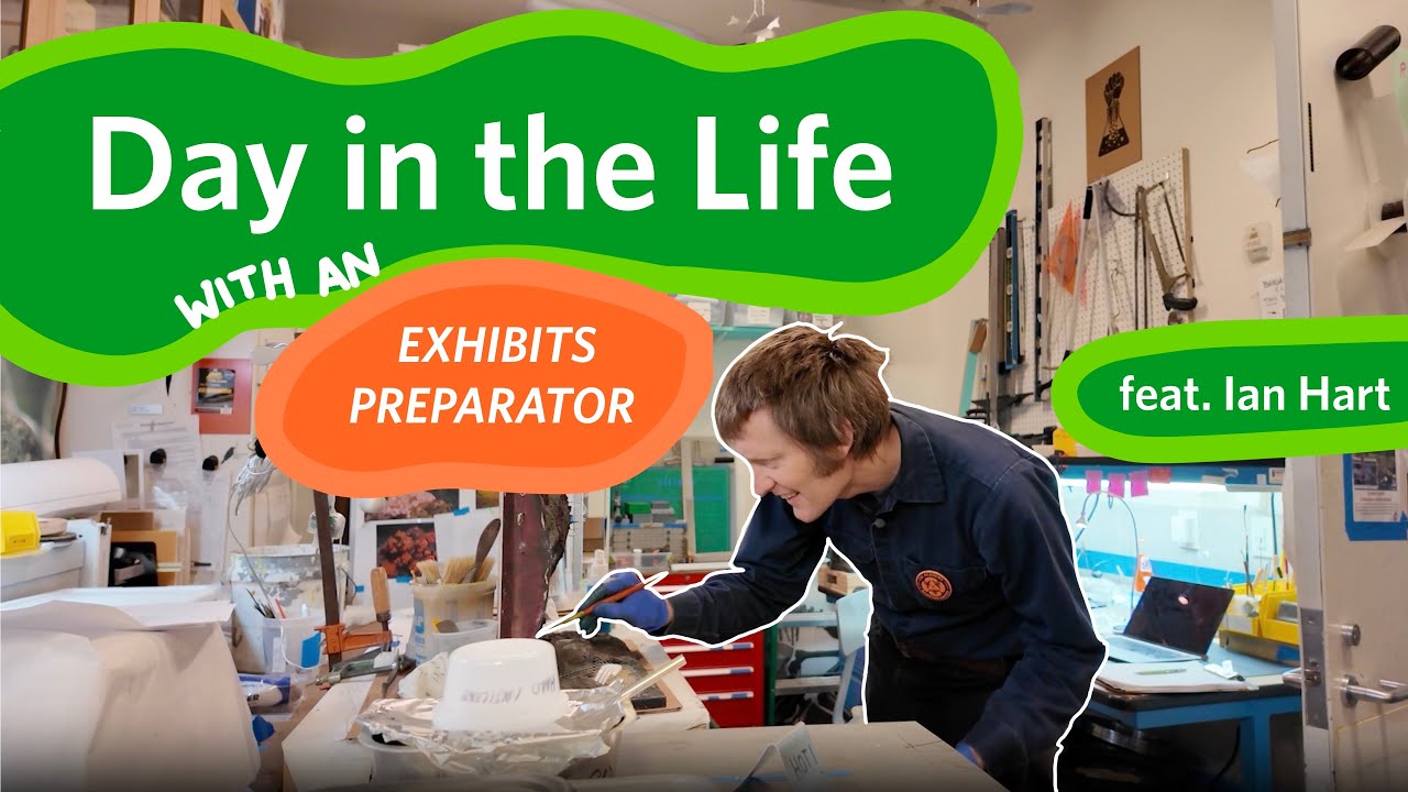 Day in the Life of an Exhibit Preparator | California Academy of Sciences