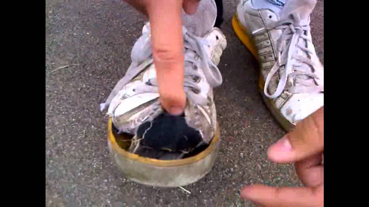 OFICIAL CMTV CREP CHECK WITH TOMMY & MAX
