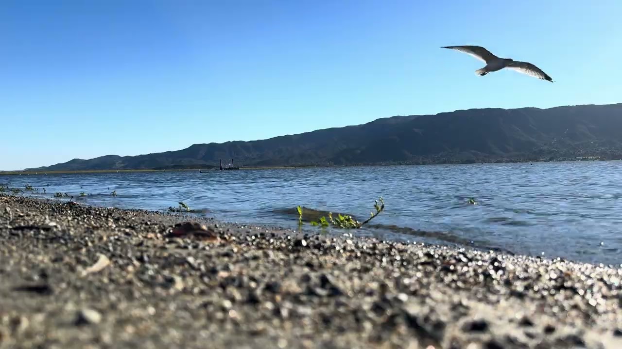 Enjoy the weekend at Lake Elsinore 