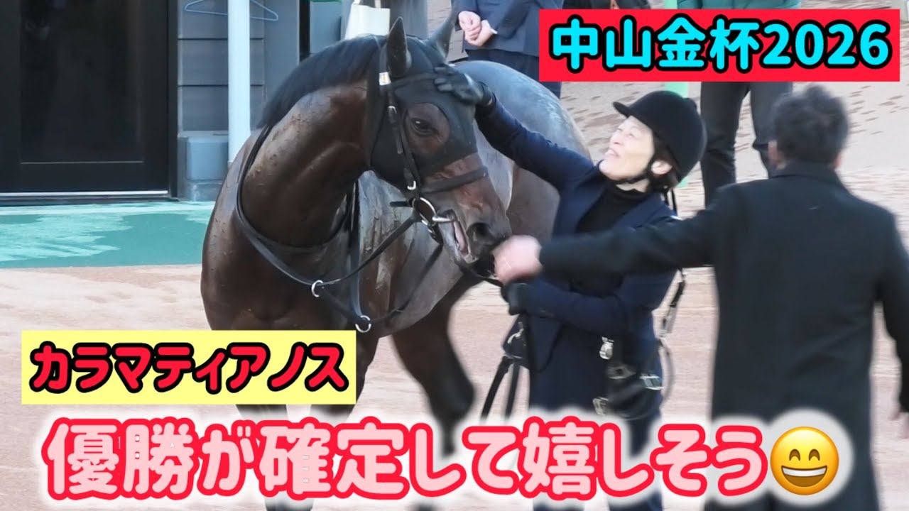 【中山金杯2026】写真判定のすえ勝利が確定して厩務員さんにいっぱいなでなでされるカラマティアノス