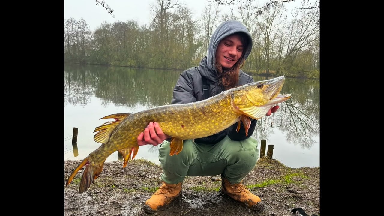 (PB Caught!!) Rainy Day Pike Fishing  🎣🌧️