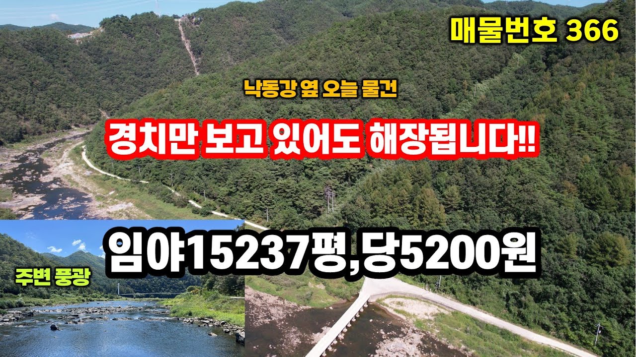 경북땅 임야매매, 낙동강 경관이 눈 앞에 딱!!! 15평 농막(산림경영관리사) 즉시 가능~