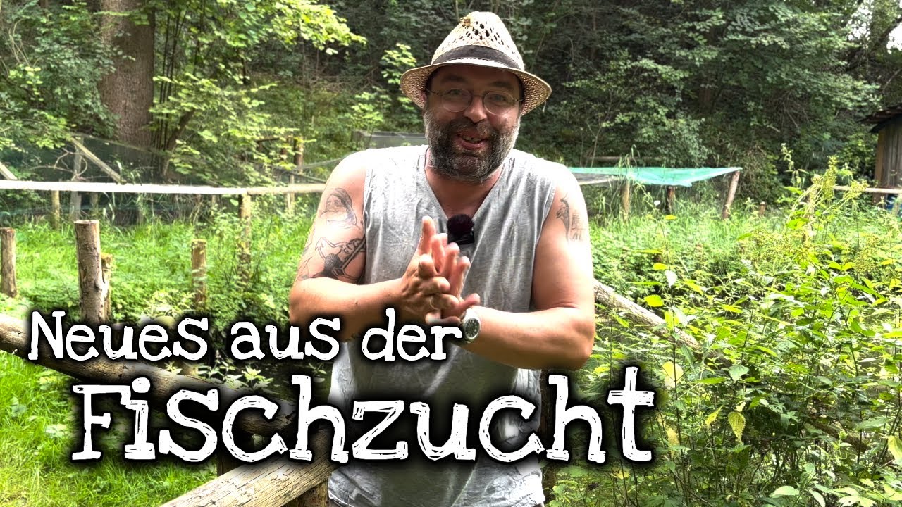 Fischzucht Update 😃 Erntedank und große Neuigkeiten