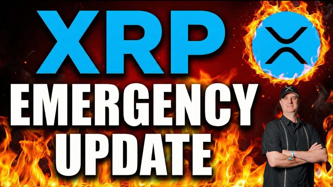 XRP 🚨 MASSIVE LIVE UPLOAD With BONUS LIVE TRADING OF 0 DTE's ‼️