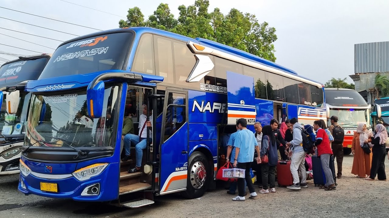 SINGO BALAP NARENDRA DI SERBU PENUMPANG ⁉️ SELASA SORE HUNTING BUS DI TERMINAL PONDOK PINANG