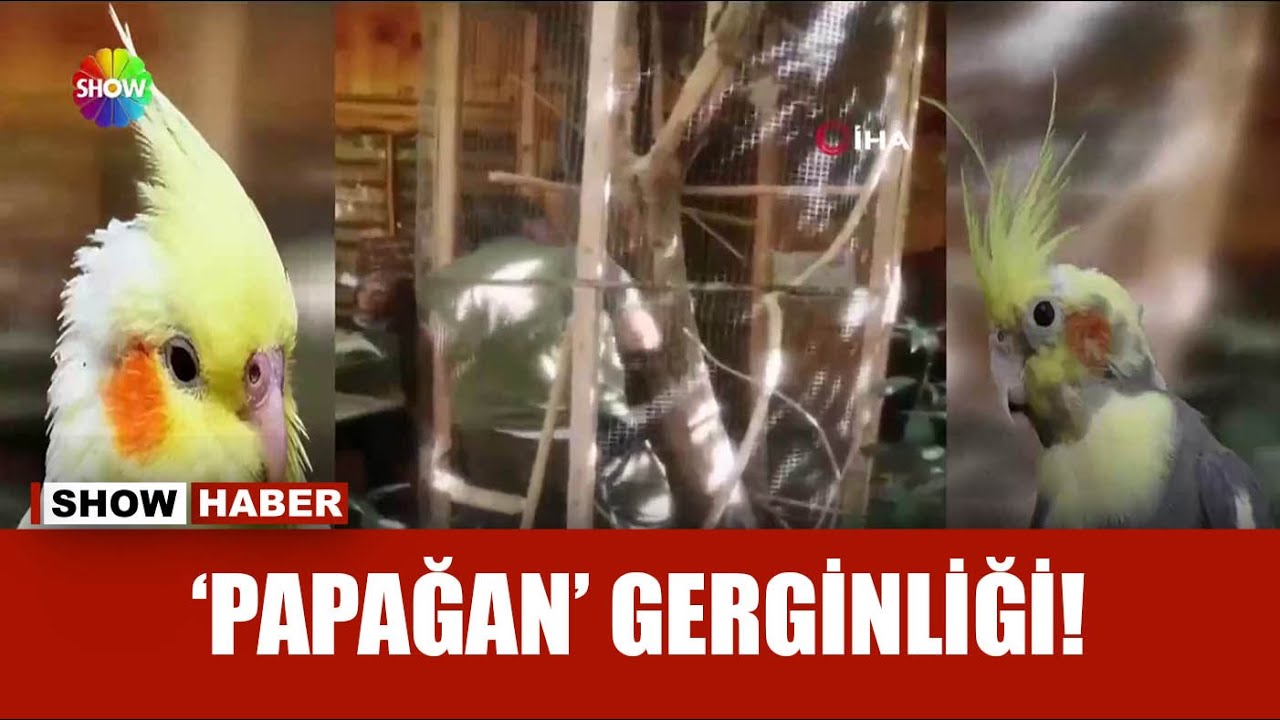 Ekipler 'Yasak' dedi, işletmeci isyan etti
