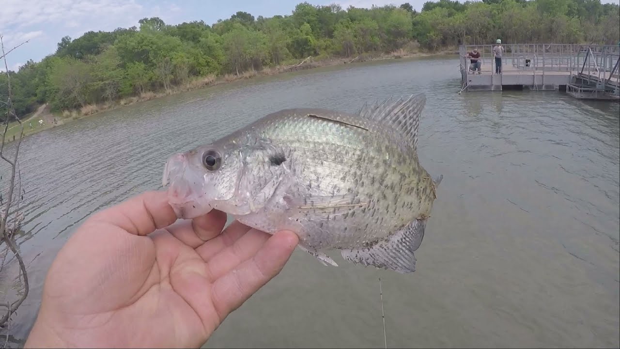 crappie fishing on granger lake   #crappiefishing