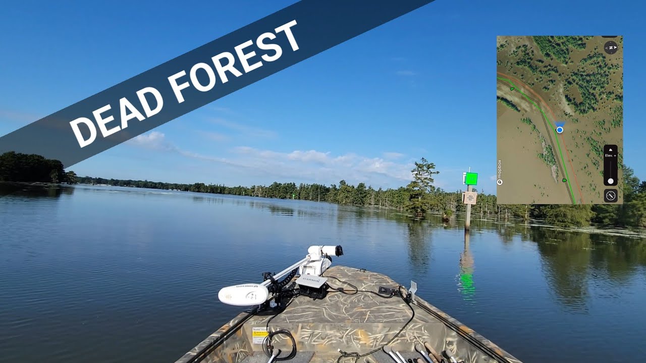 Santee Cooper Lake Tour #5 |  THE BLOWOUT TO JACKS CREEK |  #boats #fishing #outdoors
